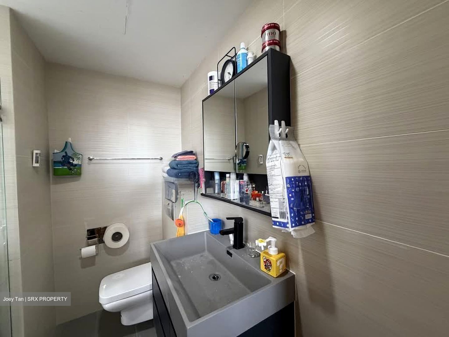 Oasis @ Elias (D18), Condominium #528237491